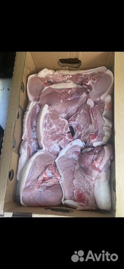 Мясо свинина для домашней кухни
