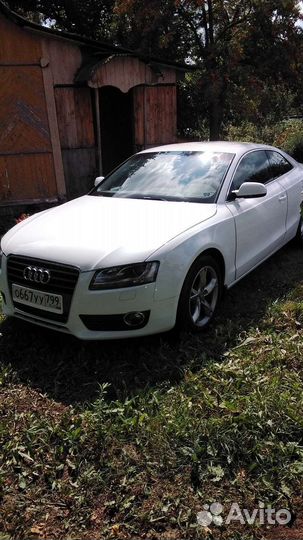 Трансфер межгород