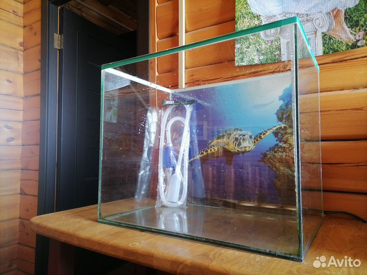 Аквариума