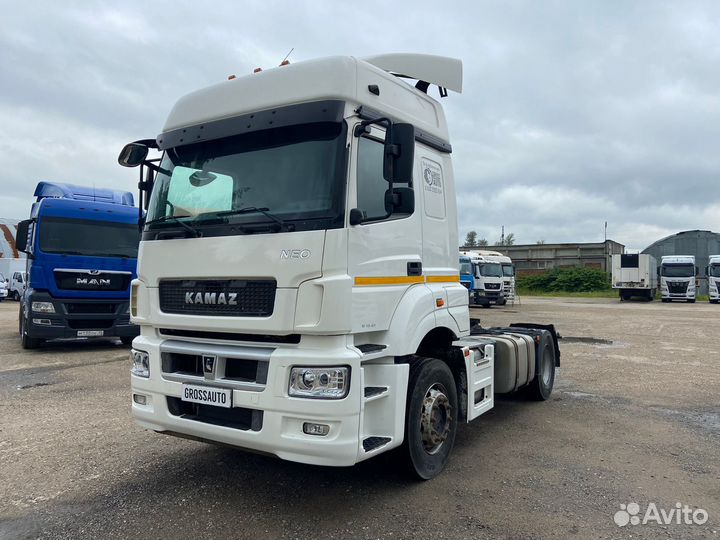 КамАЗ 5490 NEO, 2019