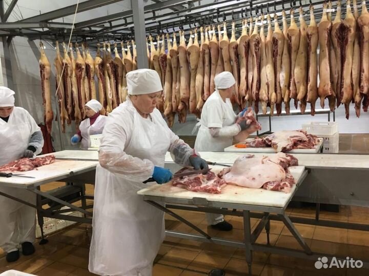 Разнорабочие.Вахта Воронеж На Мясокомбинат