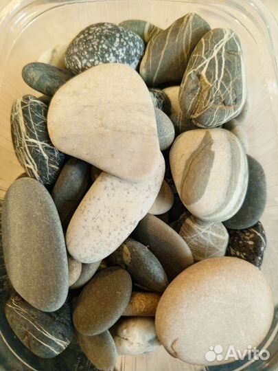 Морские камни и ракушки