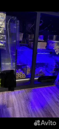 Морской аквариум