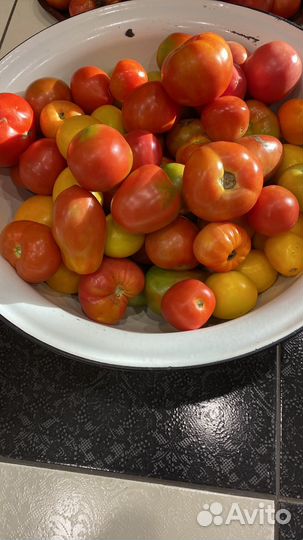Помидоры домашние