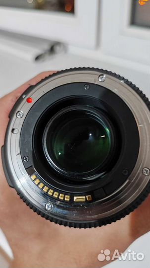 Sigma 17-50 2.8