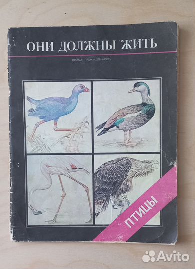 Книги про птиц