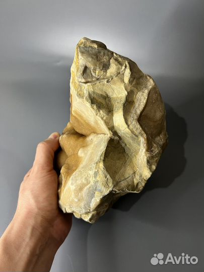 Септария с желтым кальцитом