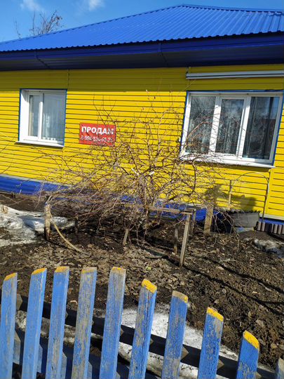 Дом 73,3 м² на участке 3,7 сот.