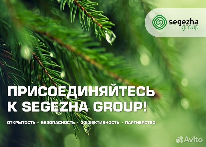 Механик лесозаготовительного транспорта