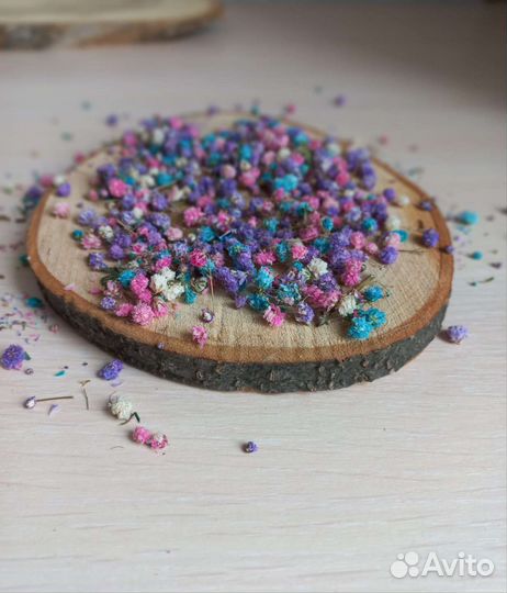 Сухоцветы для фотосессии и предметной съемки