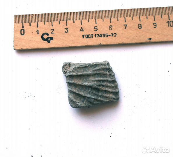 Отпечаток аммонита