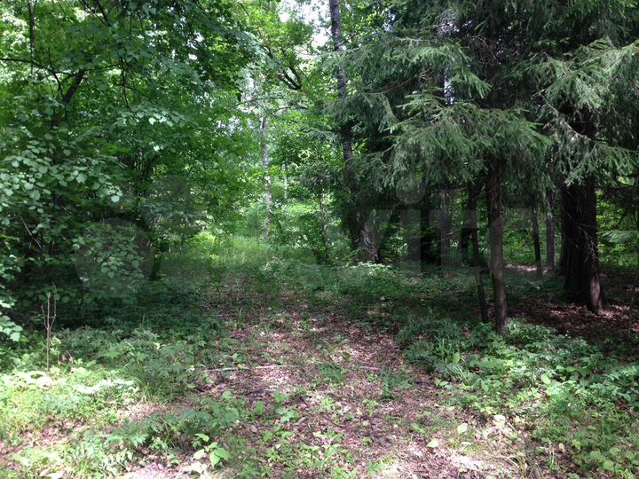 Участок 1,6 га (СНТ, ДНП)