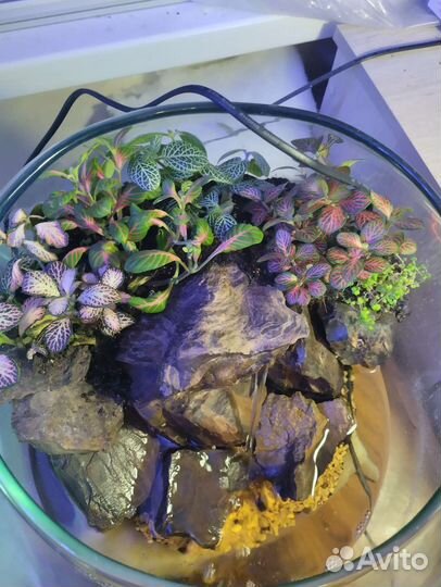 Флорариум с водопадом