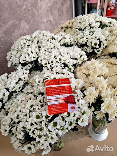 Букеты Доставка Челябинск