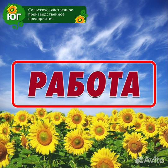 Оператор линии производства продуктов