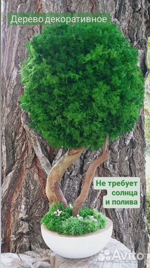 Дерево декоративное