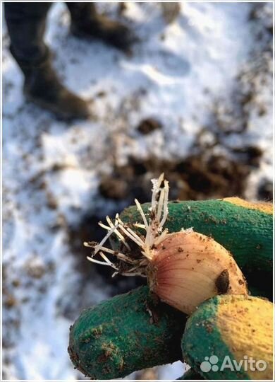 Готовый бизнес пассивный доход