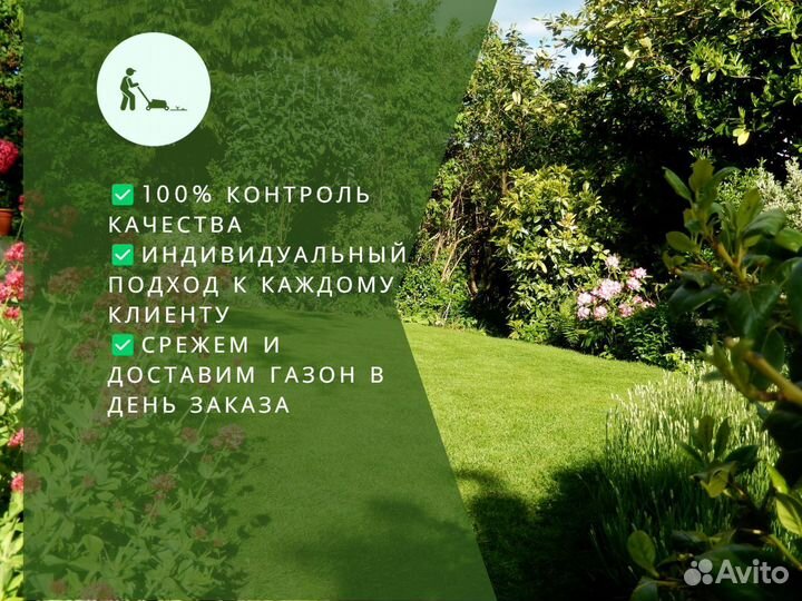 Укладка газона