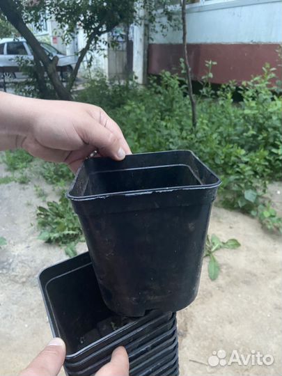 Ведро для рассады пластиковое