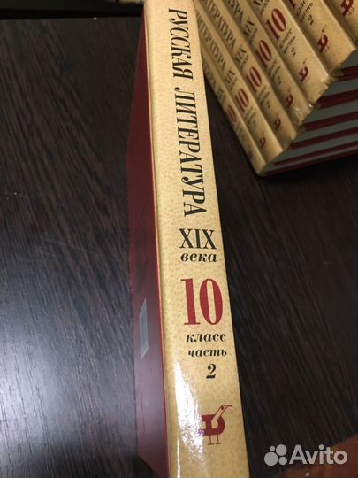 Учебник,русская литература 19 века,10 класс