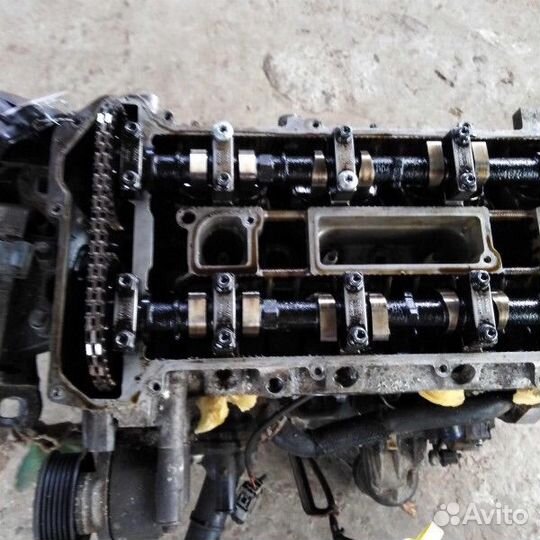 Двигатель 1.8I qqdb ford focus II