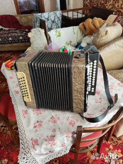 Гармонь любительская