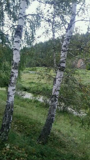 Участок 45 сот. (ИЖС)