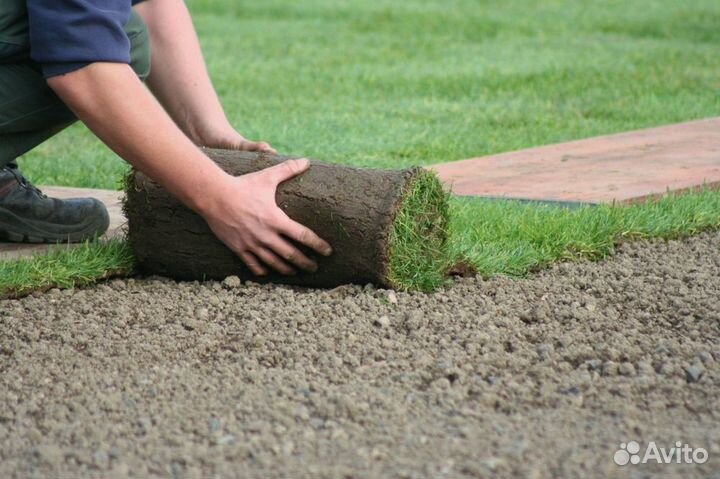 Рулонный газон от производителя эконом
