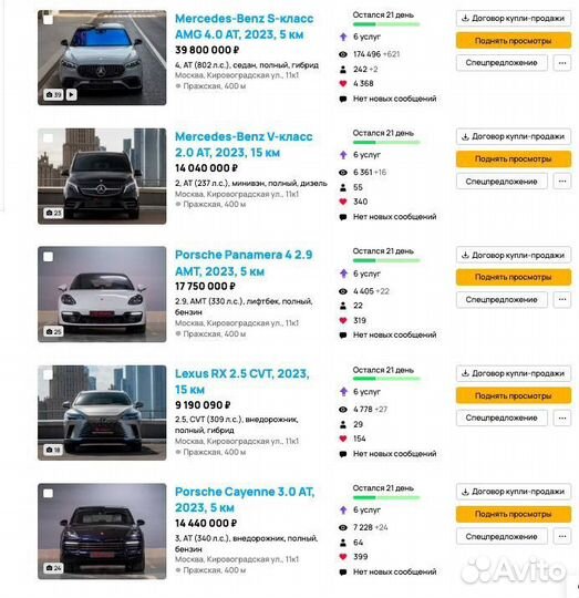 Авитолог. Обучение по темам, в зум