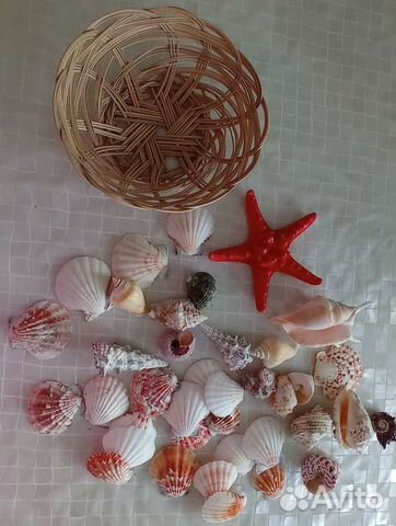 Набор ракушек в корзинке