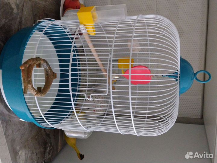 Клетка для птиц iMac (Италия)