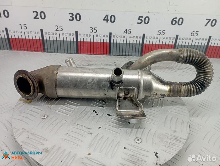 Охладитель EGR / Радиатор EGR Ford Focus рест