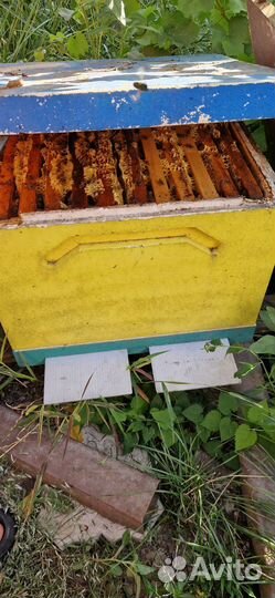 Набор пчеловода