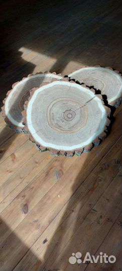 Спилы дерева