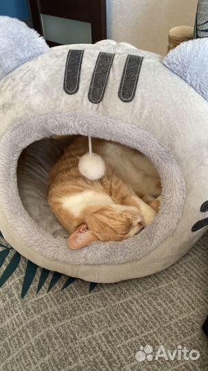 Домик для животных