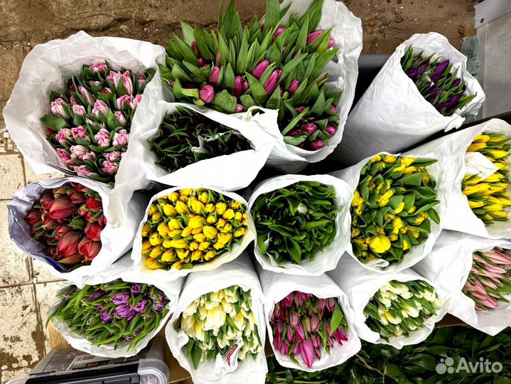 Тюльпаны крупные желтые голландские оптом в Москве