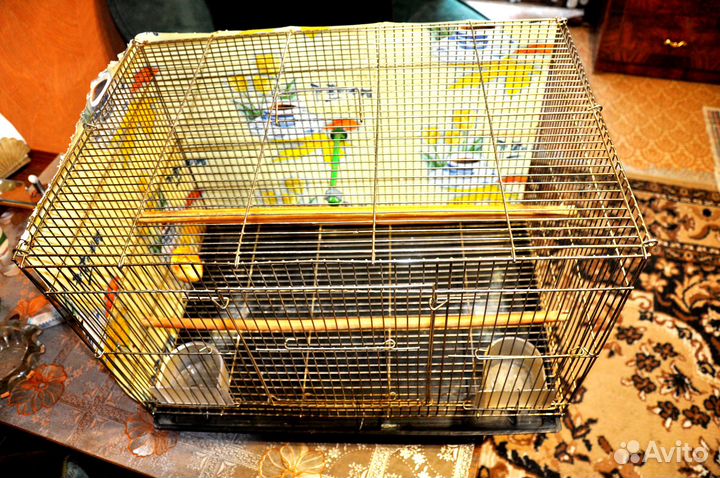 Большая клетка для среднего попугая