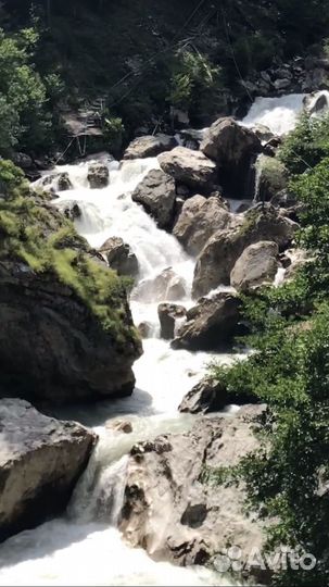 Индивидуальные экскурсии в Абхазию или по Сочи