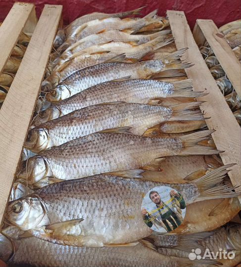 Гигантская тарань вяленая с икрой