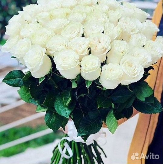 Высокие Розы с Доставкой