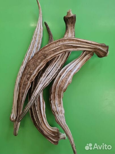 Бамия семена