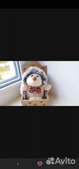 Авокадо, Ежики, Медведь из 