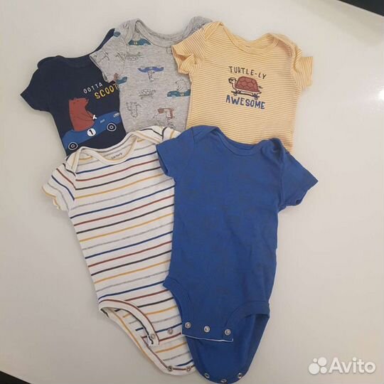 Боди Carters
