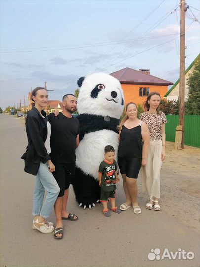 Белый и бурый мишка поздравление