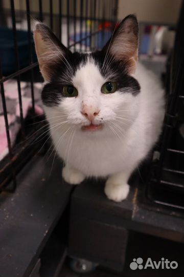 В ожидании семьи