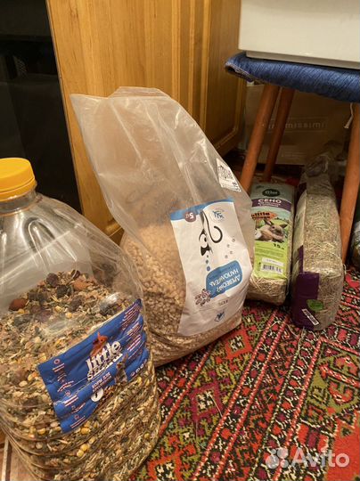 Кролики с клеткой