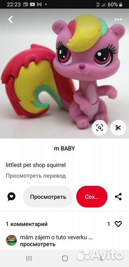 P o i s k lps