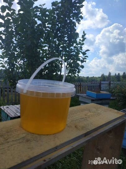 Мёд Липовый 2023