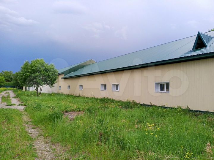 Свободного назначения, 1600 м²