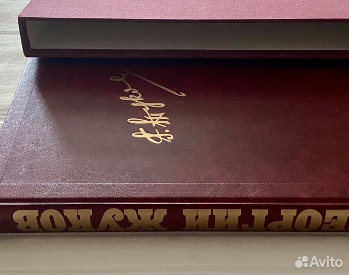 Георгий Жуков. Фотолетопись